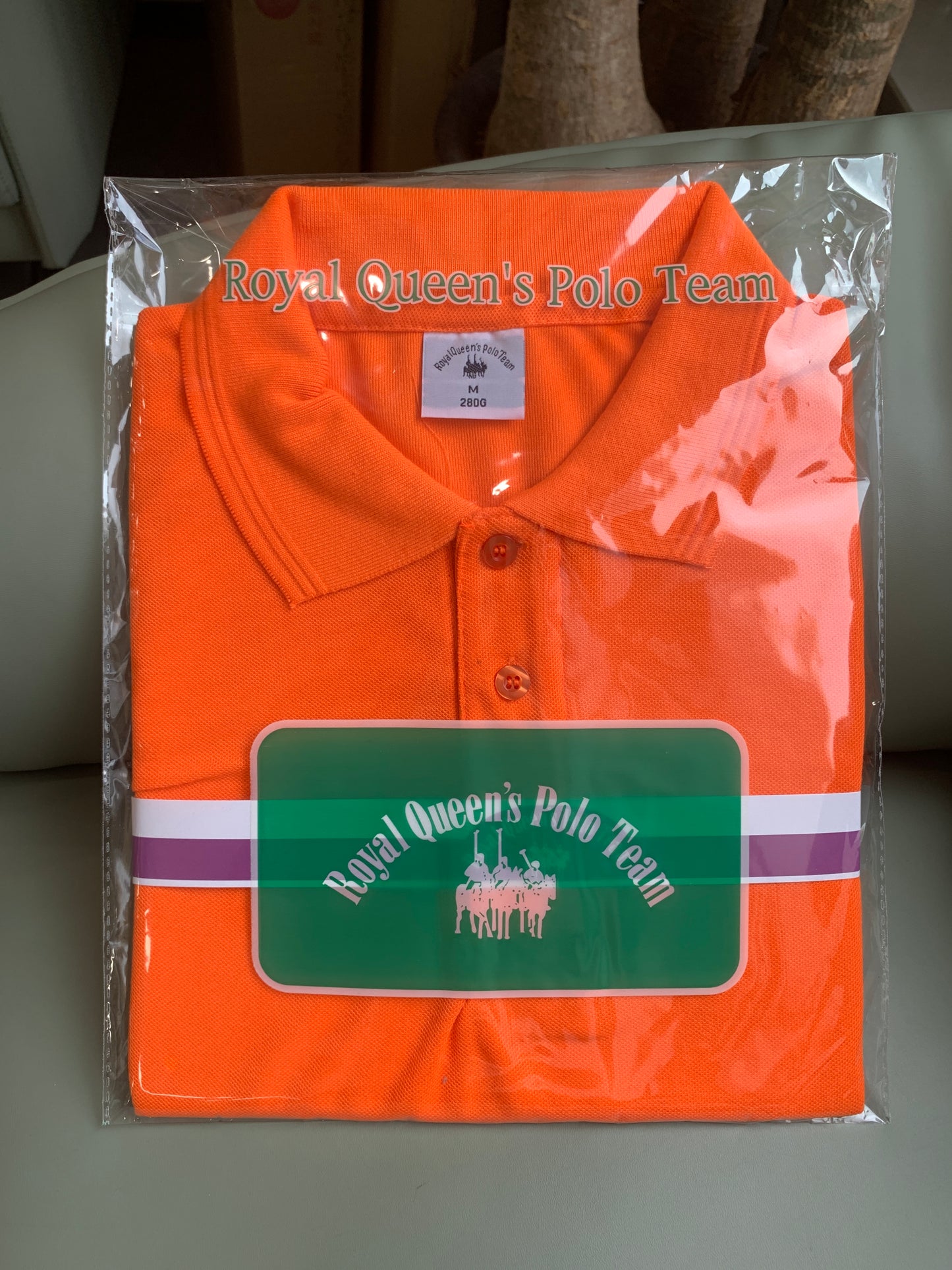 ROYAL QUEEN'S POLO TEAM