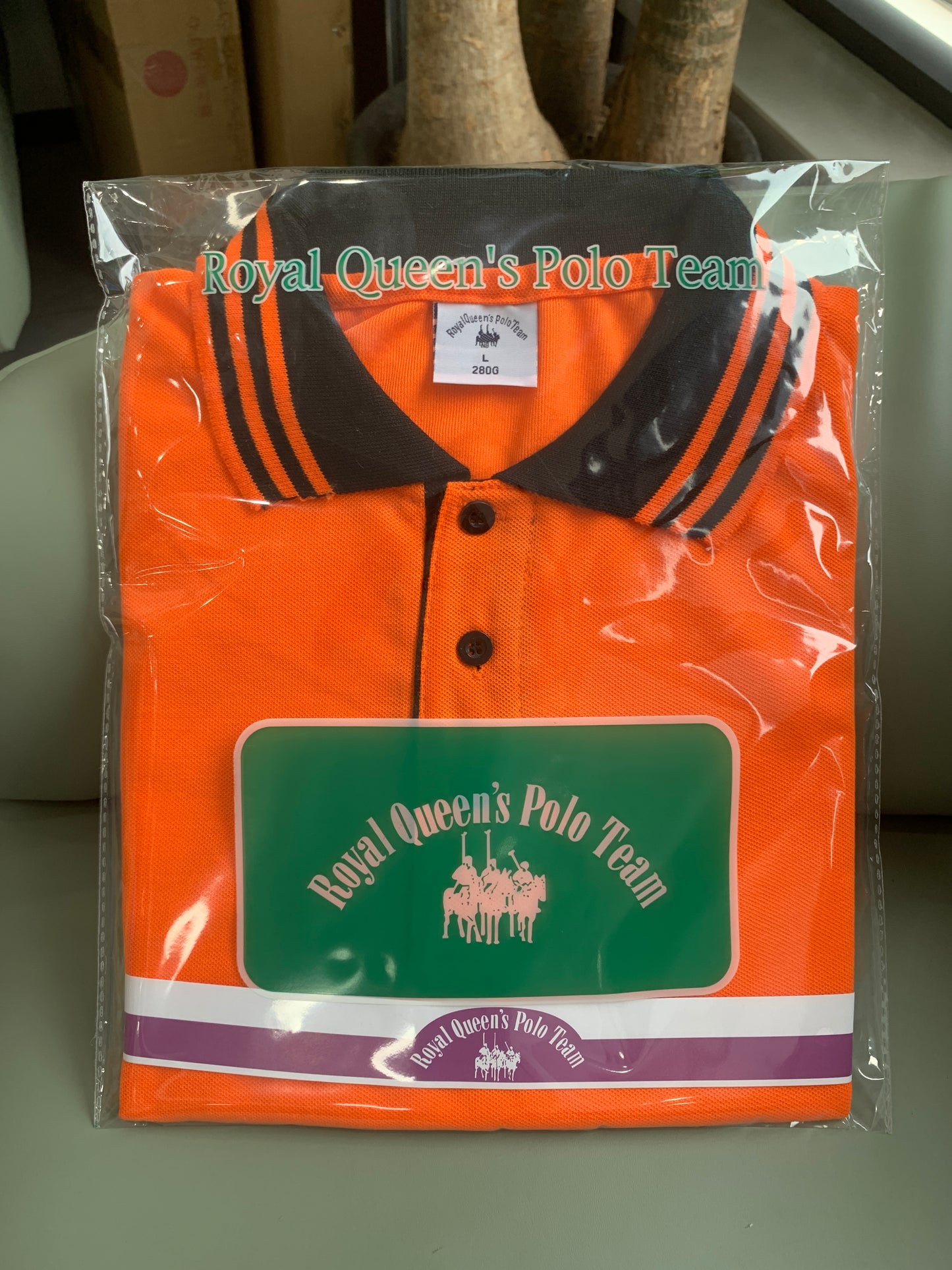 ROYAL QUEEN'S POLO TEAM