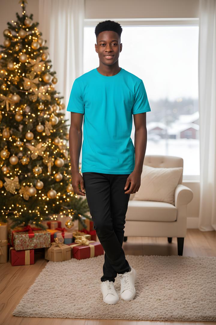 Tee-shirt premium 100% coton